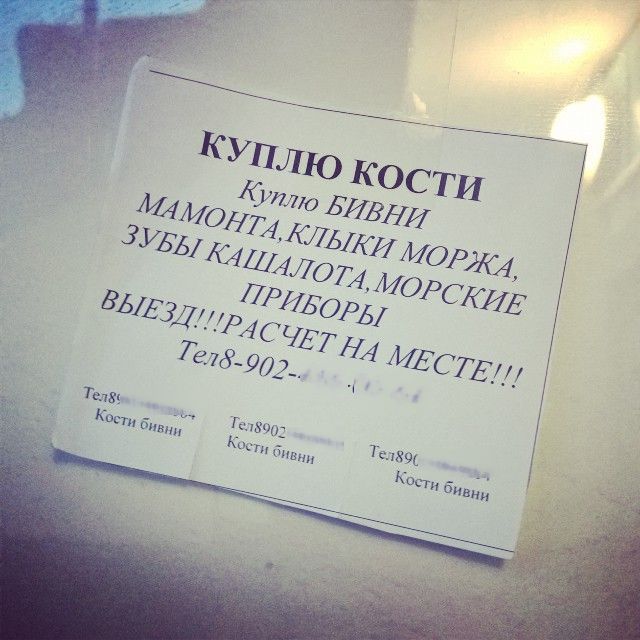 Забавные объявления в наших подъездах
