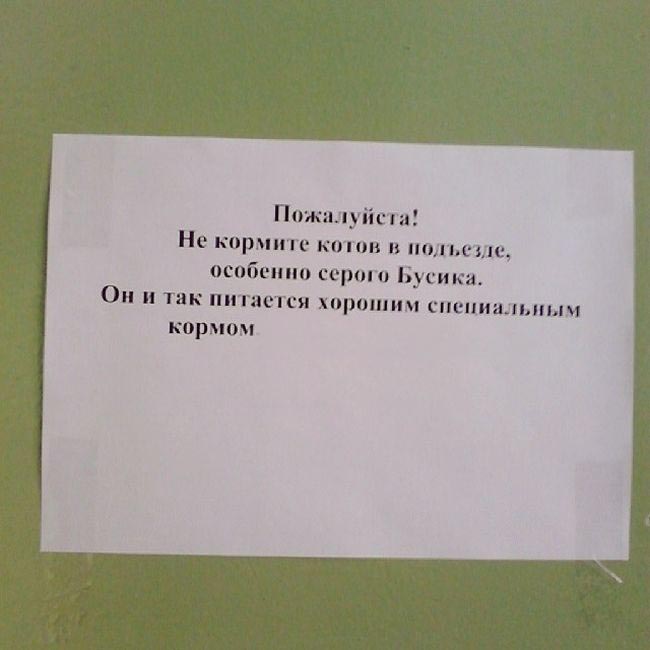 Забавные объявления в наших подъездах