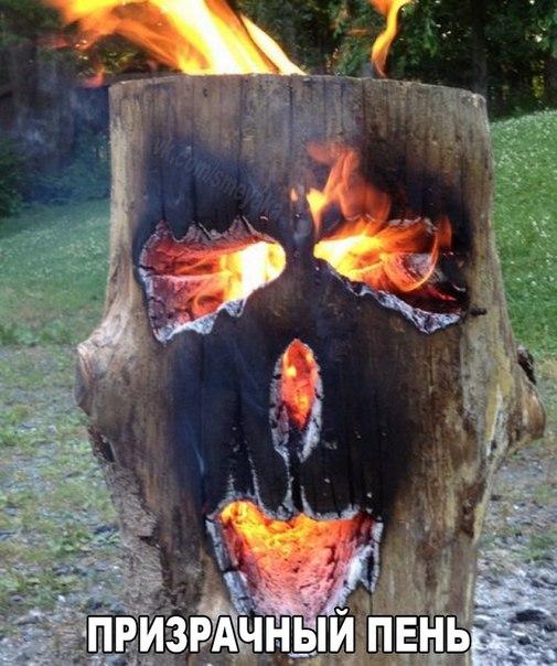 Порция картинок