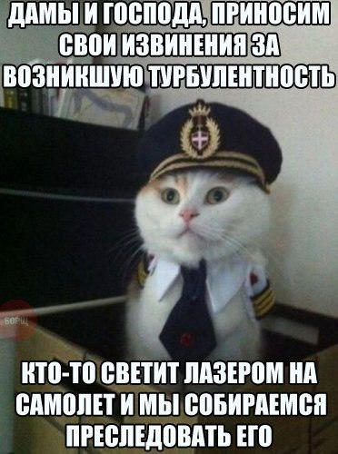 Порция картинок