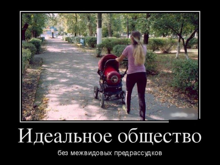 Демотиваторы