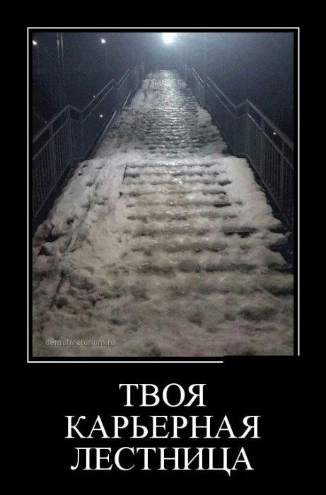 Демотиваторы