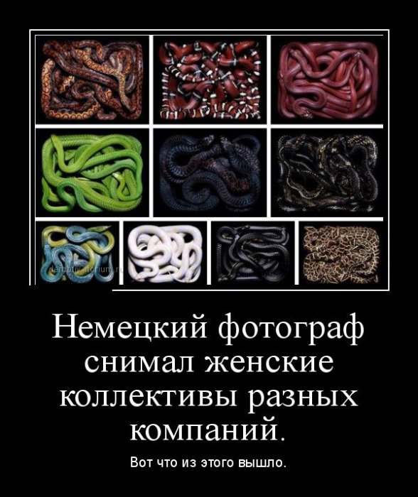 Демотиваторы