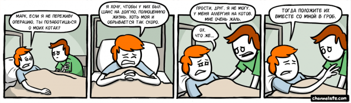 Порция картинок