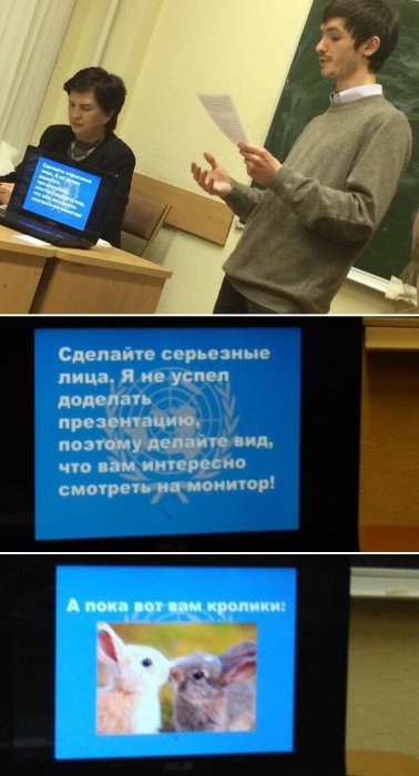 Порция картинок