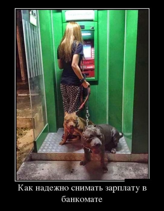 Демотиваторы