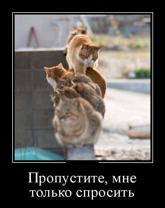 Демотиваторы