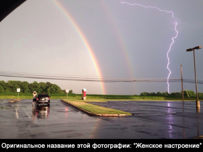 Порция картинок