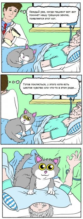 Порция картинок