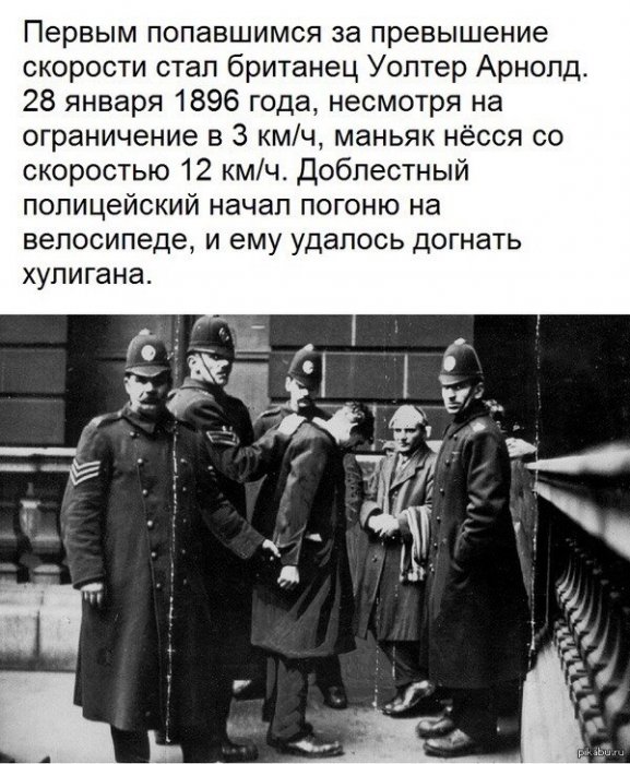 Порция картинок