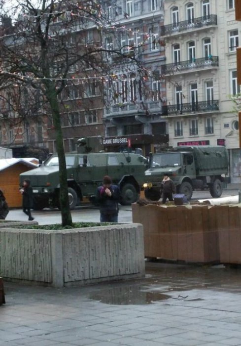 Вместо фотографий антитеррористической операции в Брюсселе начали публиковать фото с котами