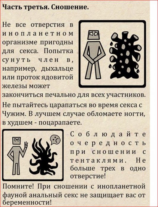Порция картинок