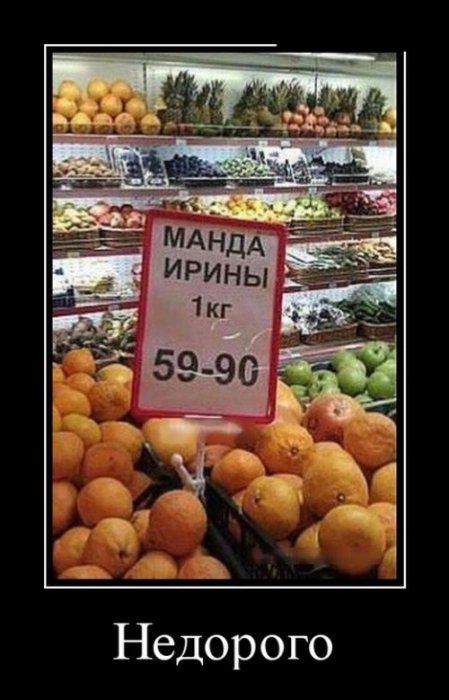Демотиваторы