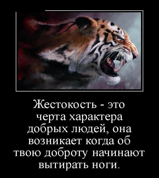 Демотиваторы