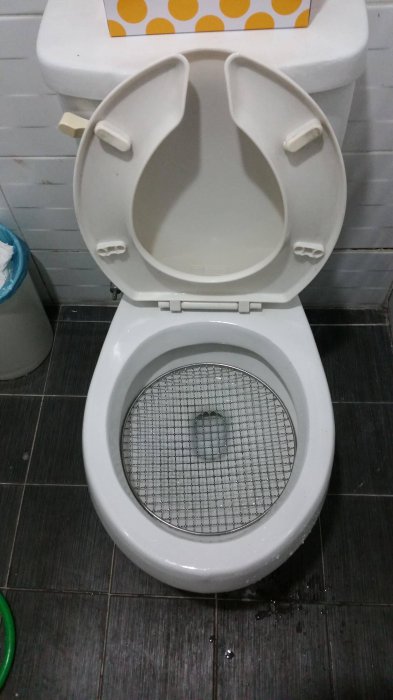 Загадка - зачем решетка в унитазе?