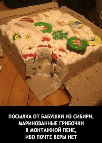 Забавные картинки