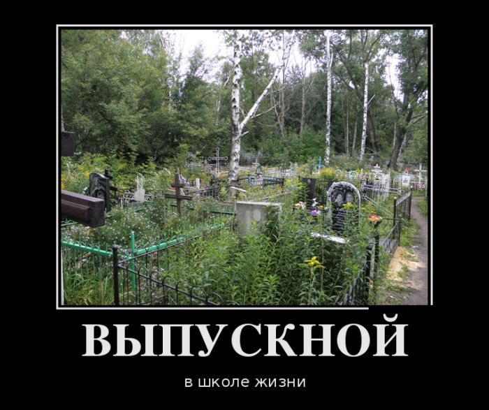Демотиваторы