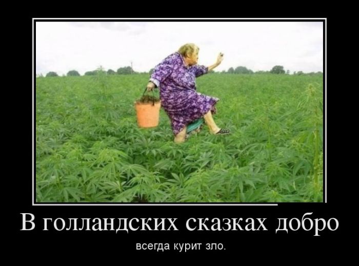 Демотиваторы