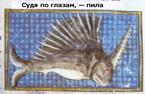 Средневековое веселье