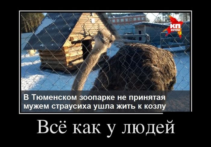 Демотиваторы
