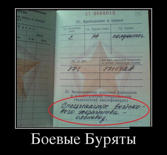 Демотиваторы