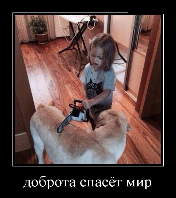 Демотиваторы