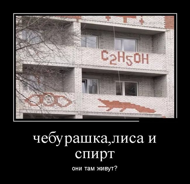Демотиваторы