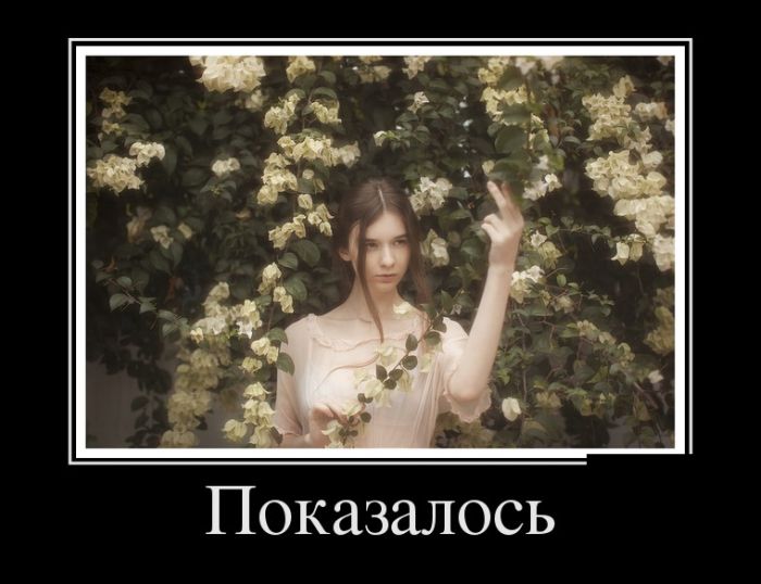 Демотиваторы