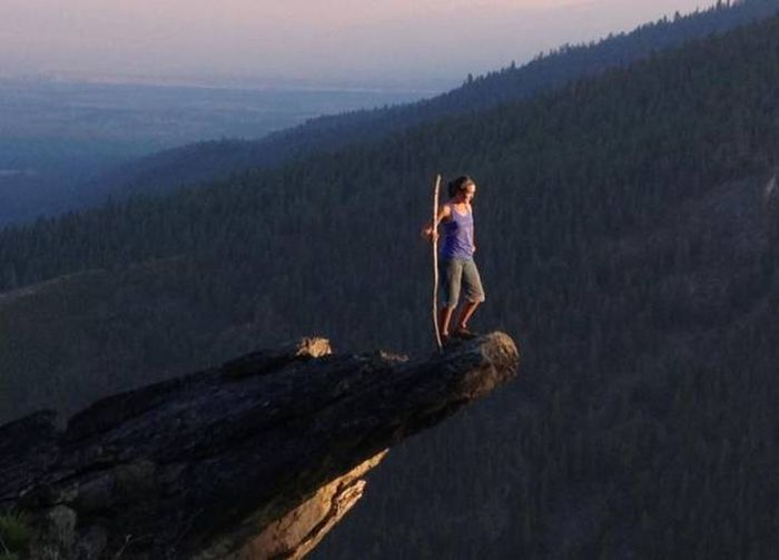 Порция картинок