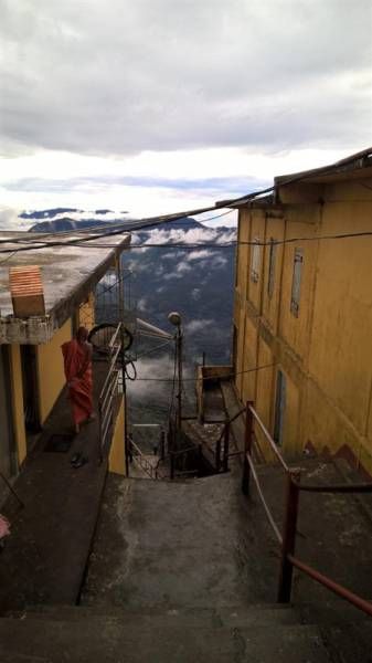 Порция картинок