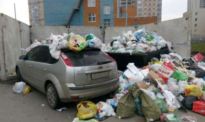 Порция картинок