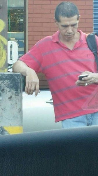 Порция картинок