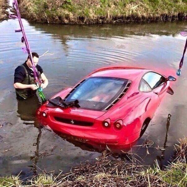 Порция картинок