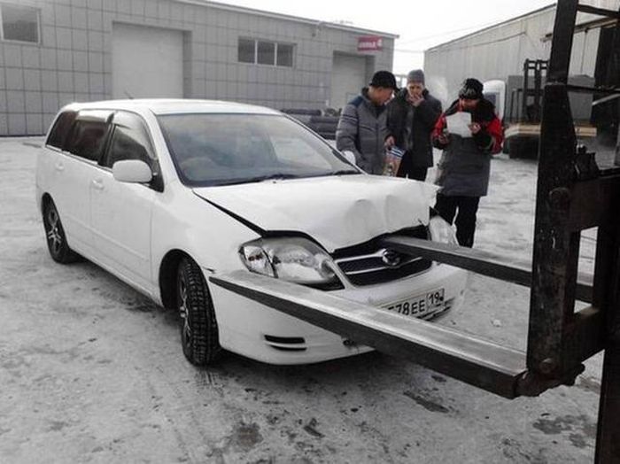 Порция картинок