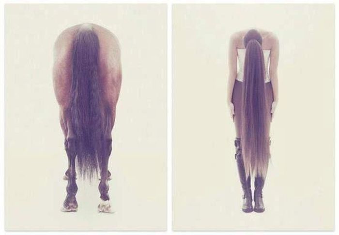 Порция картинок