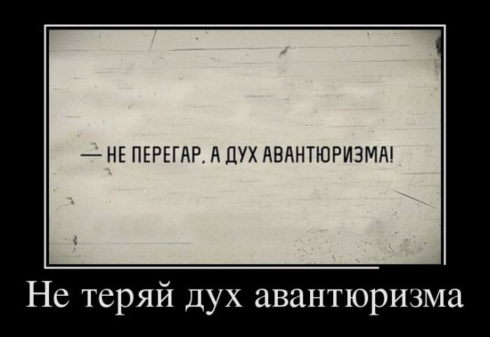 Демотиваторы