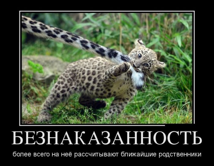 Демотиваторы