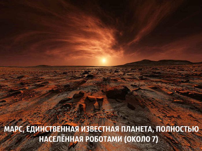 Порция картинок