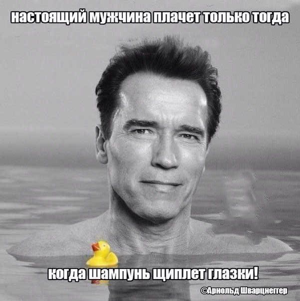 Порция картинок