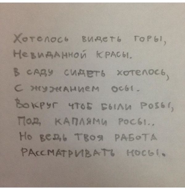Порция картинок