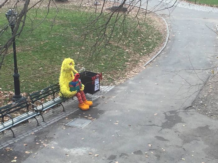 Порция картинок