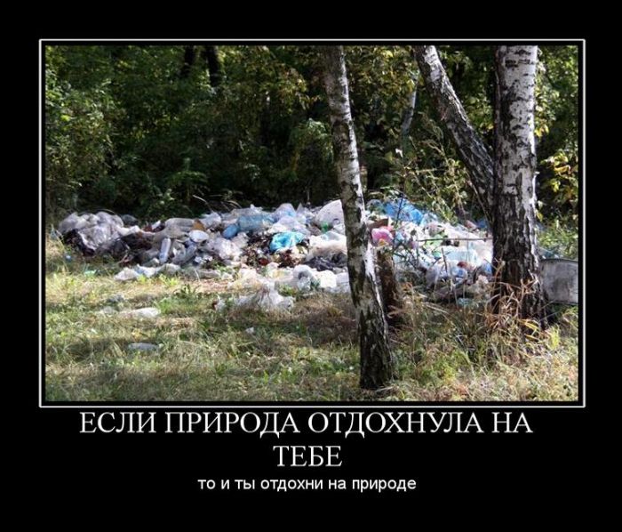 Демотиваторы