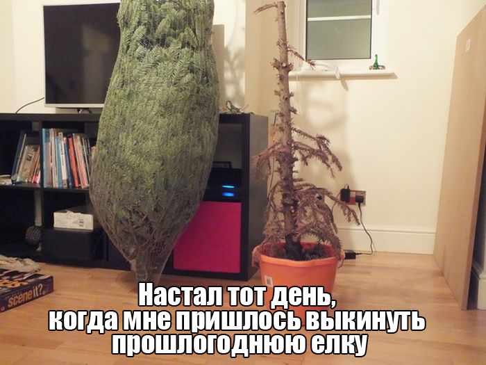 Порция картинок
