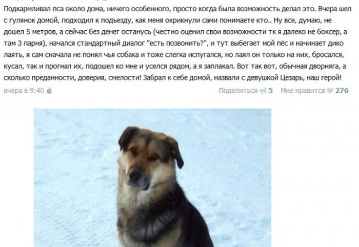 Порция картинок