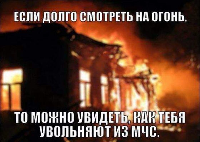 Порция картинок