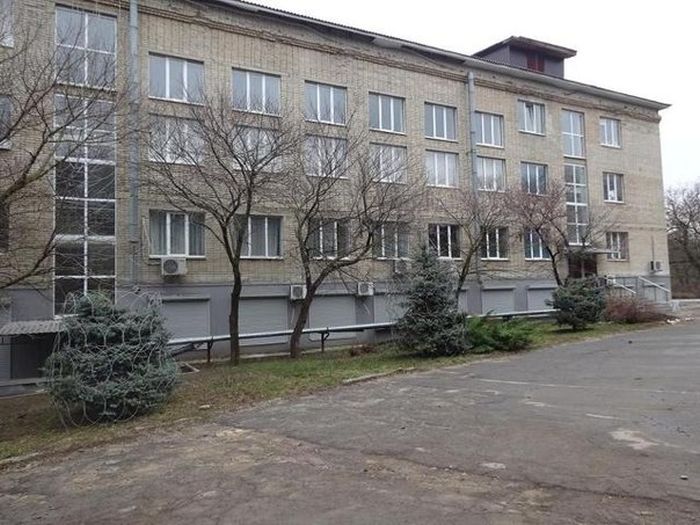 Лучший способ защиты елок от вандалов