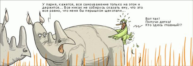 Забавные картинки