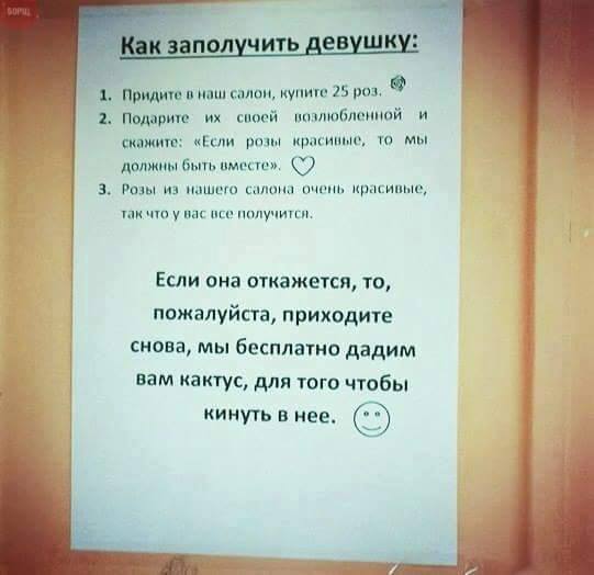 Забавные картинки
