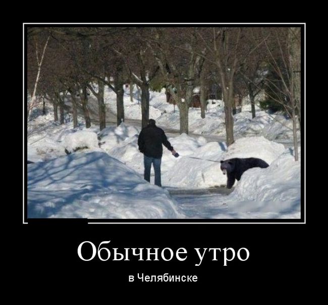 Демотиваторы