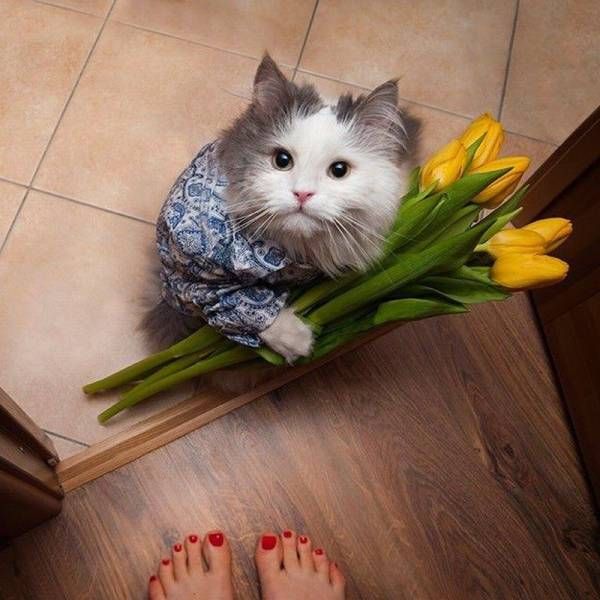 Забавные картинки